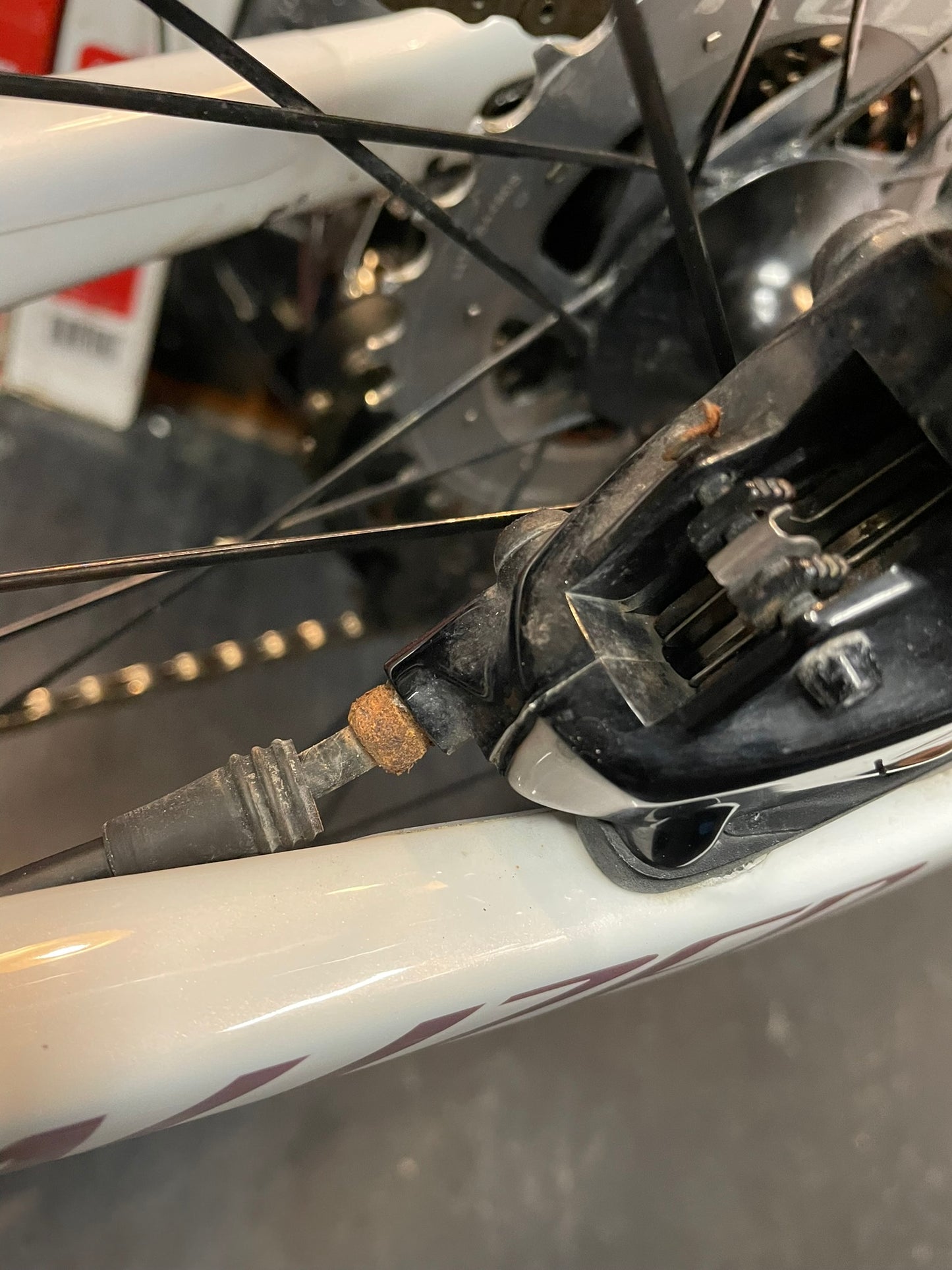 Tornillo tuerca SRAM/SHIMANO (x1 Unidad)